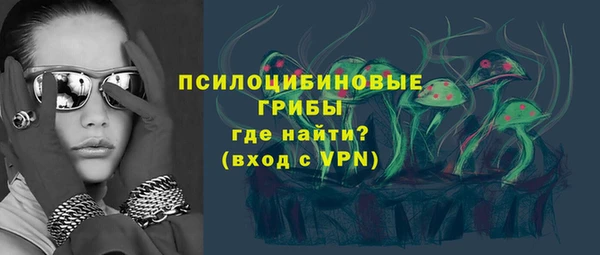 тгк Арсеньев