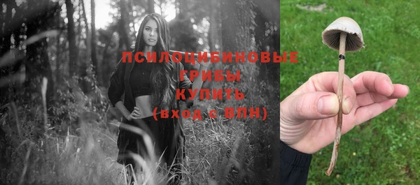 тгк Арсеньев